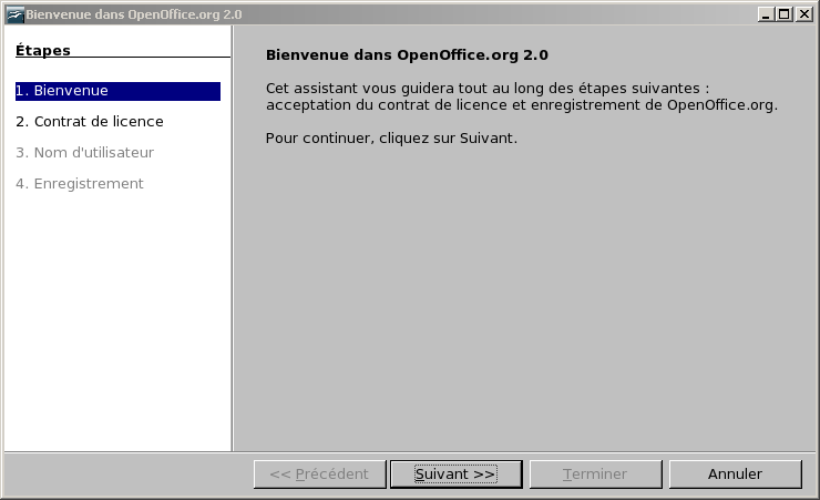 License agreement window